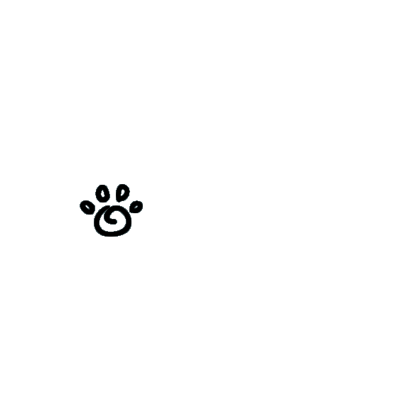 Santo Pet